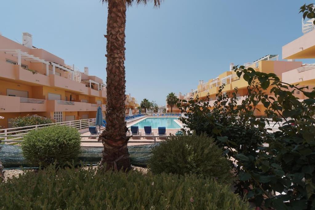 Appartement New !! One Bedroom - Banda Musical Blue Tavira